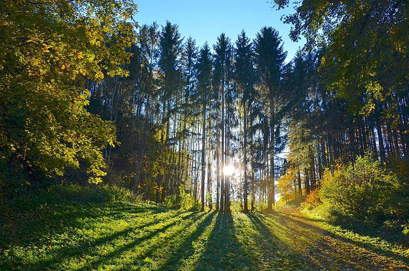 File:Landschaftsschutzgebiet Großer Heuberg.jpg