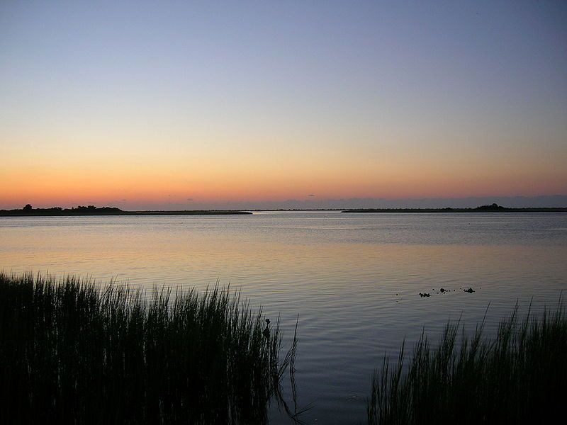 File:Masonboro Island.JPG