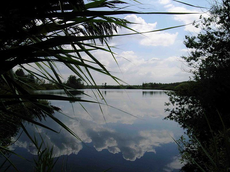 File:Netherlands Peel lake.jpg