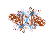 2bry: CRYSTAL STRUCTURE OF THE NATIVE MONOOXYGENASE DOMAIN OF MICAL AT 1.45 A RESOLUTION