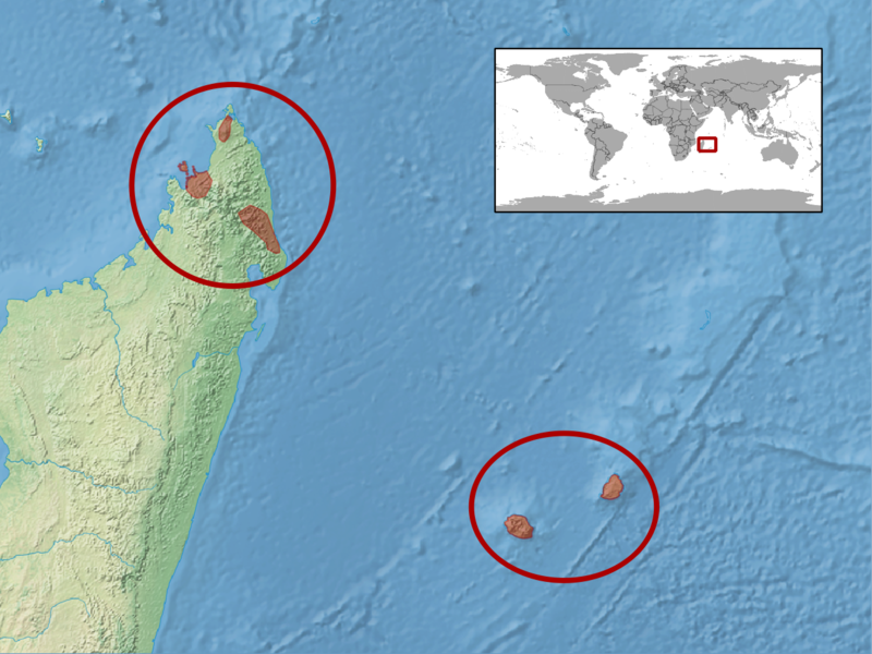 File:Phelsuma grandis distribution.png