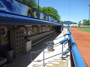 Home dugout, June 2014