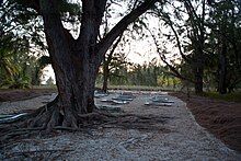 The cemetery on Juan de Nova Island.