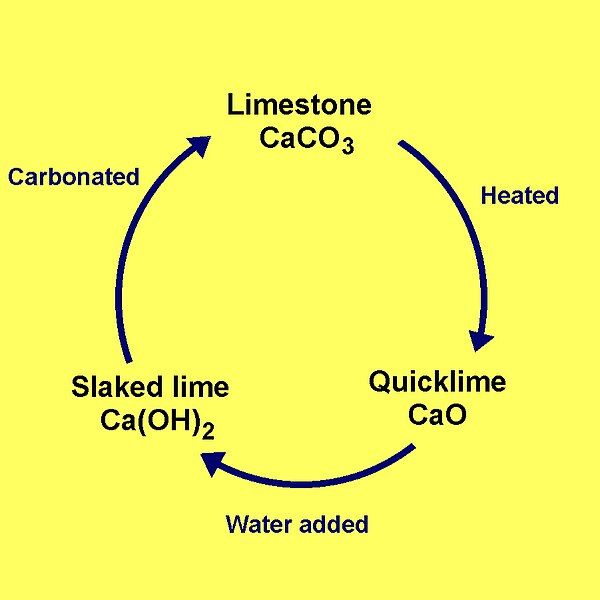 File:The lime cycle.jpg