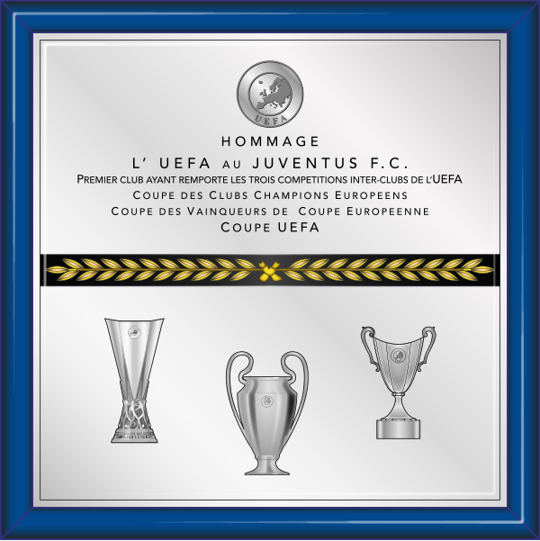 File:UEFA special plate.svg