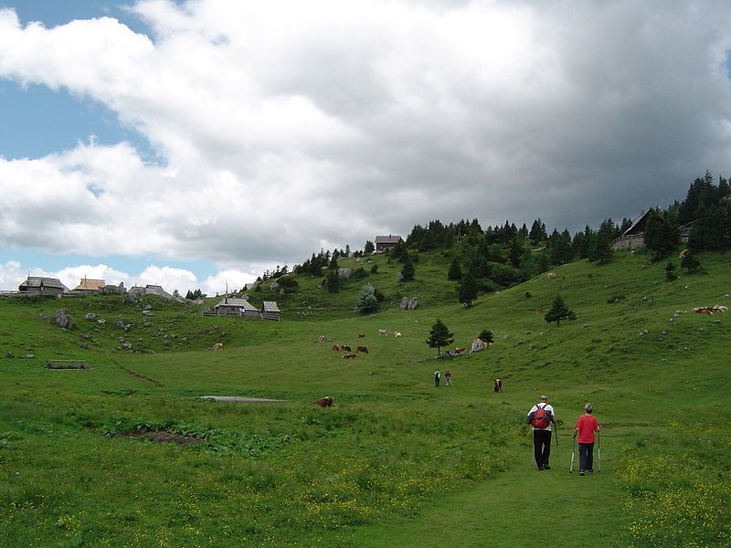 File:Velika planina.JPG