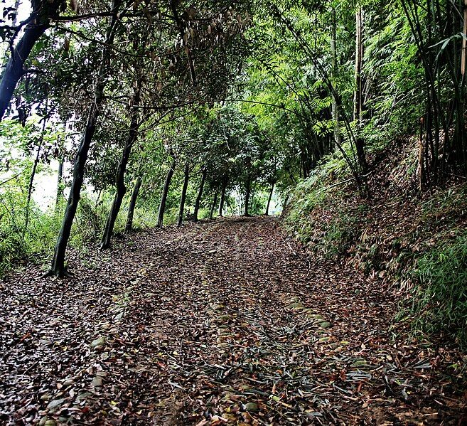 File:茶马古道平乐骑龙山古道照片.jpg