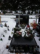 Aleksander Szczygło tomb (2011)