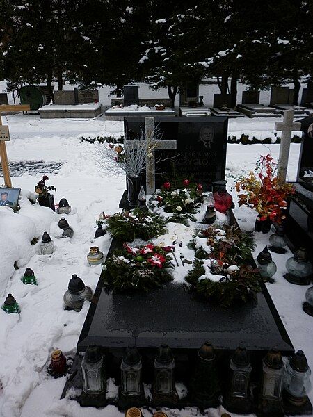 File:Aleksander Szczygło tomb.JPG