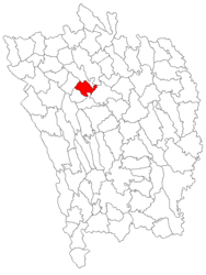 Location in Vaslui County