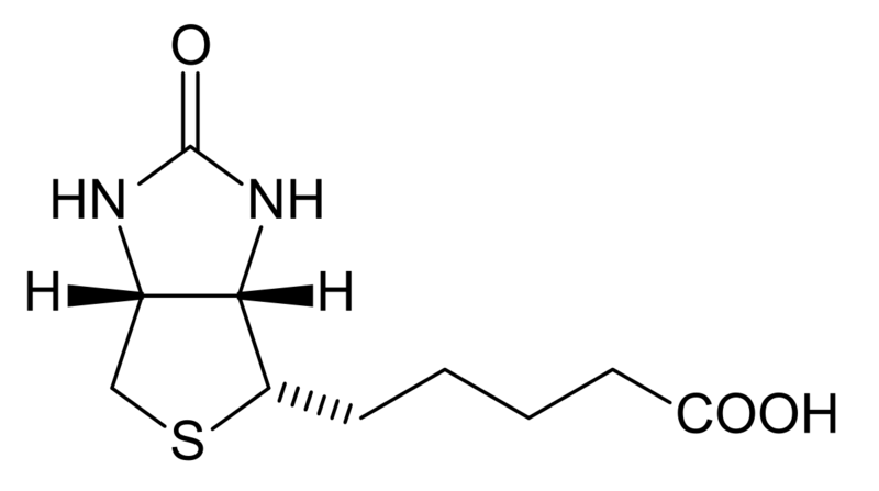 File:Biotin structure JA.png