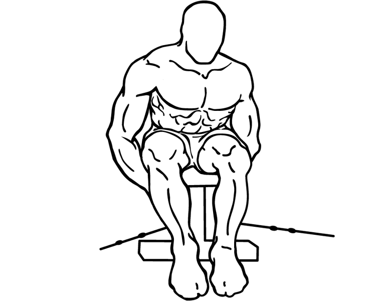 File:Cable-seated-rear-lateral-raise-2.png