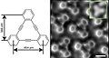 Triple bond of Carbon in Benzene