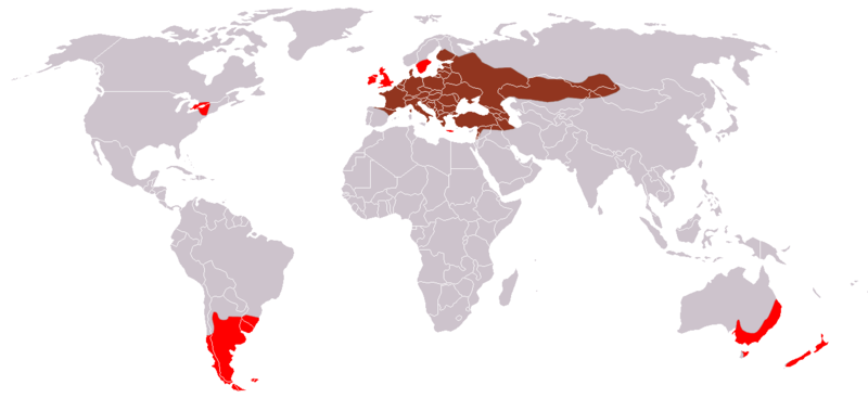 File:European Hare area.png