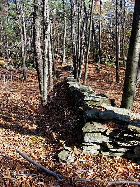 File:FSSP Fence Row.jpg