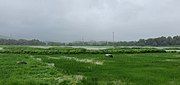 Camurlim Fields from NH17 road