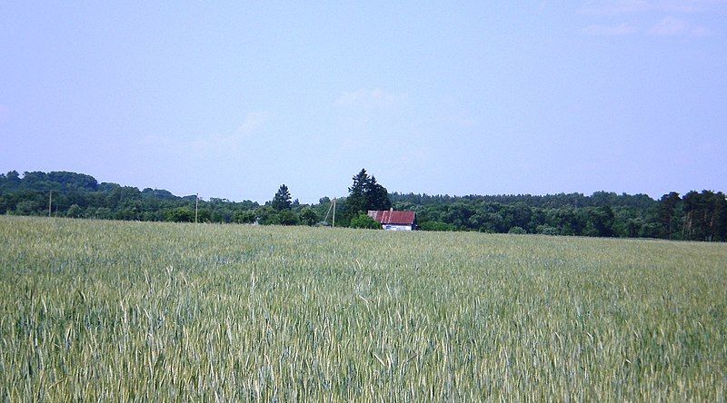 File:Gojus, Kėdainių raj.JPG