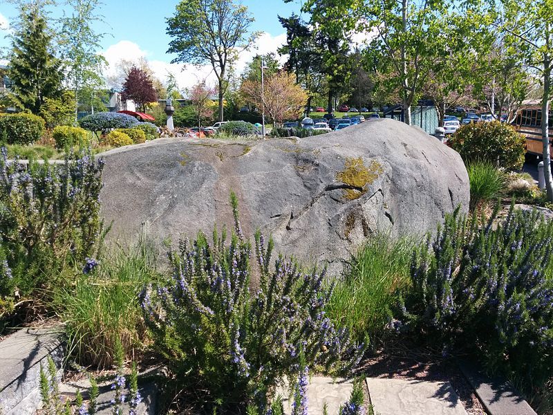 File:Highline CC erratic.jpg