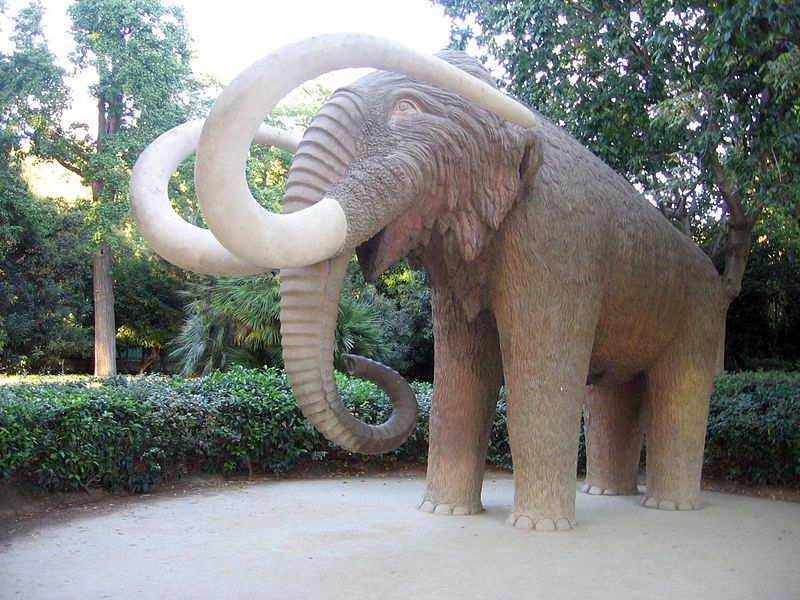 File:Mamut Ciudadela.JPG