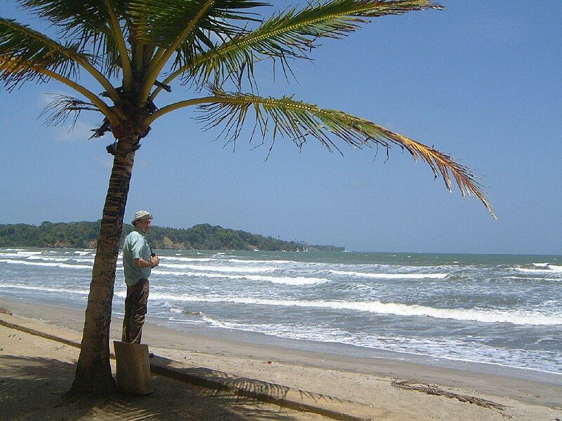 File:Manzanilla beach, Trinidad.jpg