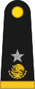 Brigadier General