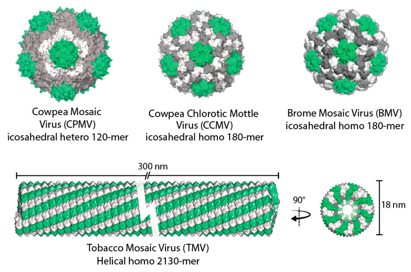 File:Molecules-23-02311-g001.png