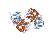 2ceo: THYROXINE-BINDING GLOBULIN COMPLEX WITH THYROXINE