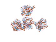 2ckj: HUMAN MILK XANTHINE OXIDOREDUCTASE