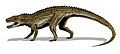 Postosuchus, North America