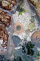 Sandbaai Tidal Pool