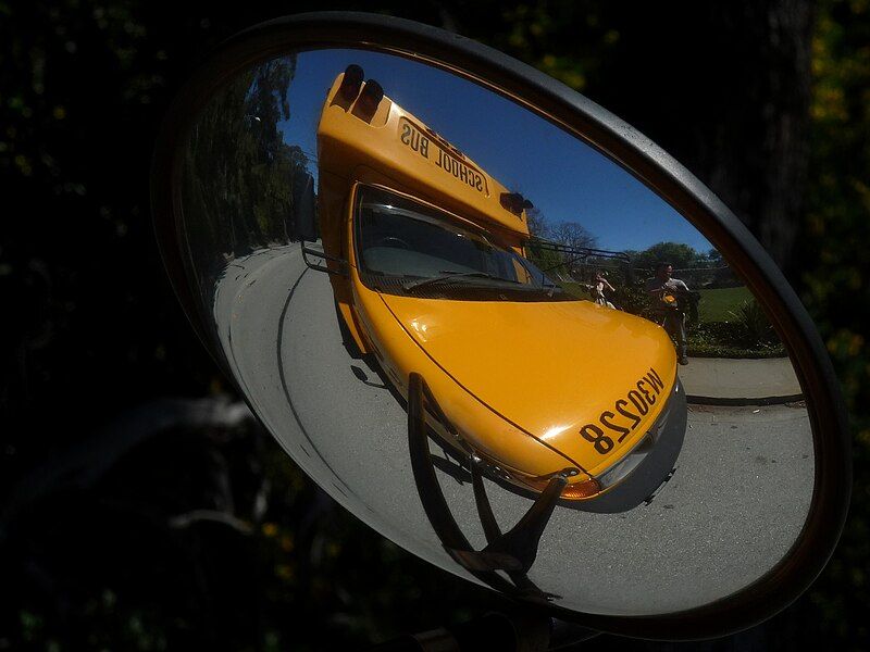 File:School Bus Xview.jpg