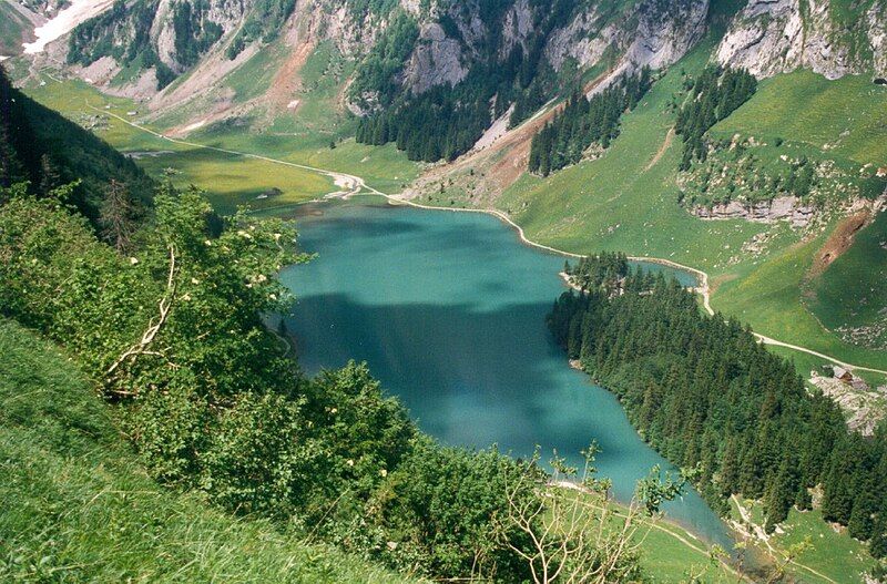 File:Seealpsee from above.jpg