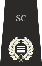 File:StaffsCO.svg