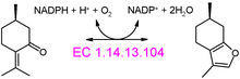 Menthofuran synthase reaction