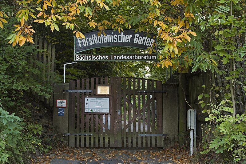 File:Arboretumtharandt.jpg