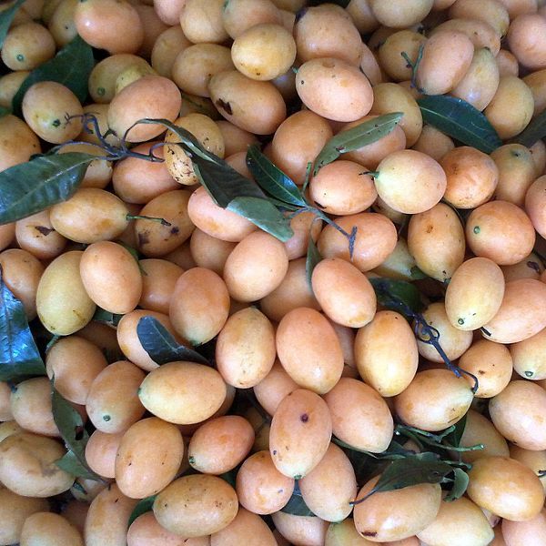 File:Buah Remia Siam.jpg