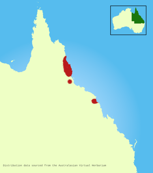 File:Calamus-radicalis-distribution-map.png