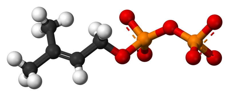 File:Dimethylallyl-pyrophosphate-3D-balls.png