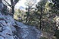 Hiking trail up the peak.