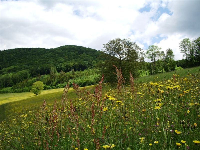 File:Klettgau Siblingen.jpg