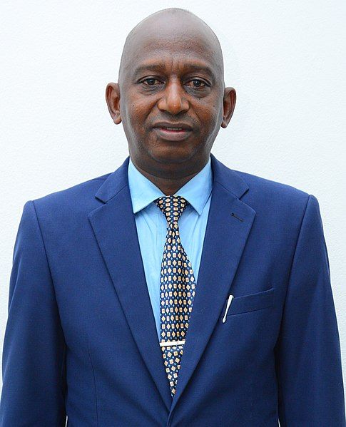 File:Mohamed Lamine Diallo.jpg