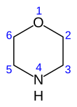 numbered skeletal formula of the morpholine molecule