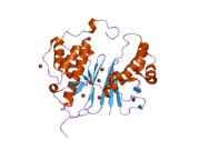 2byd: STRUCTURE OF AMINOADIPATE-SEMIALDEHYDE DEHYDROGENASE-PHOSPHOPANTETHEINYL TRANSFERASE