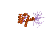 2dk9: Solution structure of Calponin Homology domain of Human MICAL-1