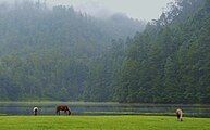 Lagunas de Zempoala Highland oceanic climate (Cwb)