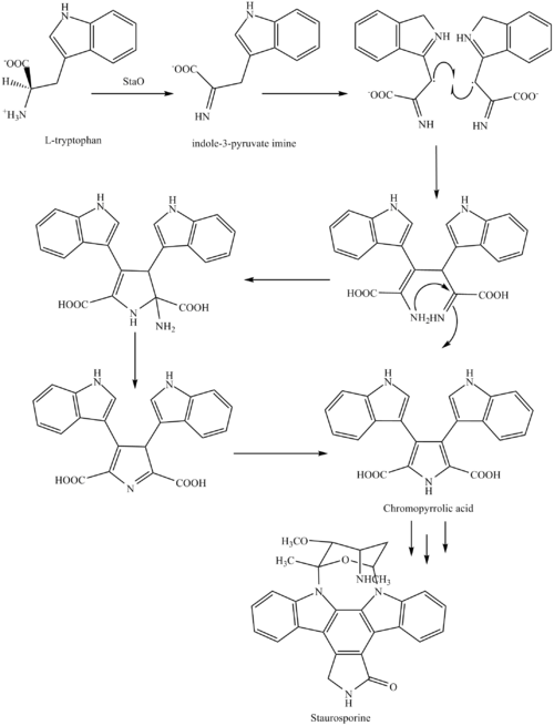 Staurosporine 2