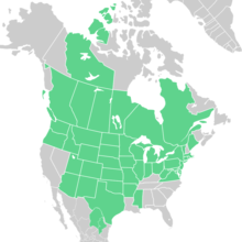 Symphyotrichum ericoides native distribution map: Canada — Alberta, British Columbia, Manitoba, Northwest Territories, Ontario, Québec, and Saskatchewan; Mexico — Coahuila and Nuevo León; US — Arizona, Arkansas, Colorado, Connecticut, Delaware, District of Columbia, Idaho, Illinois, Indiana, Iowa, Kansas, Maine, Maryland, Massachusetts, Michigan, Minnesota, Mississippi, Missouri, Montana, Nebraska, New Jersey, New Mexico, New York, North Dakota, Ohio, Oklahoma, Oregon, Pennsylvania, Rhode Island, South Dakota, Texas, Utah, Vermont, Virginia, Washington, West Virginia, Wisconsin, and Wyoming.