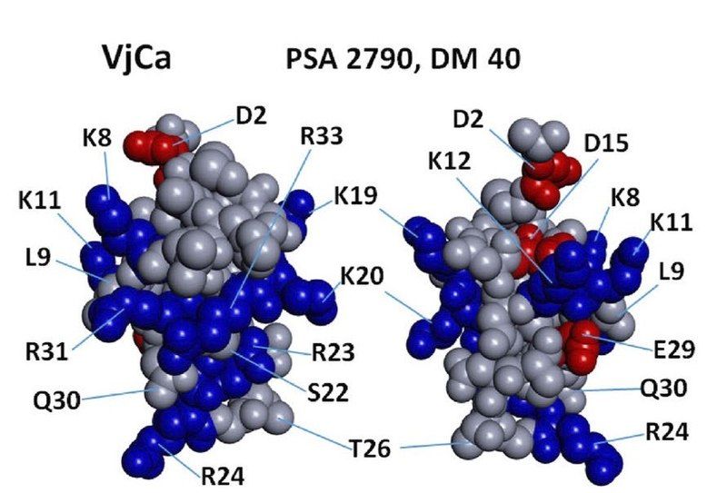 File:Vejocalcin.jpg