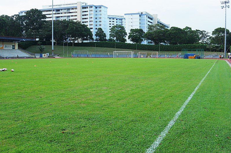 File:Woodlands Stadium Pitch.JPG