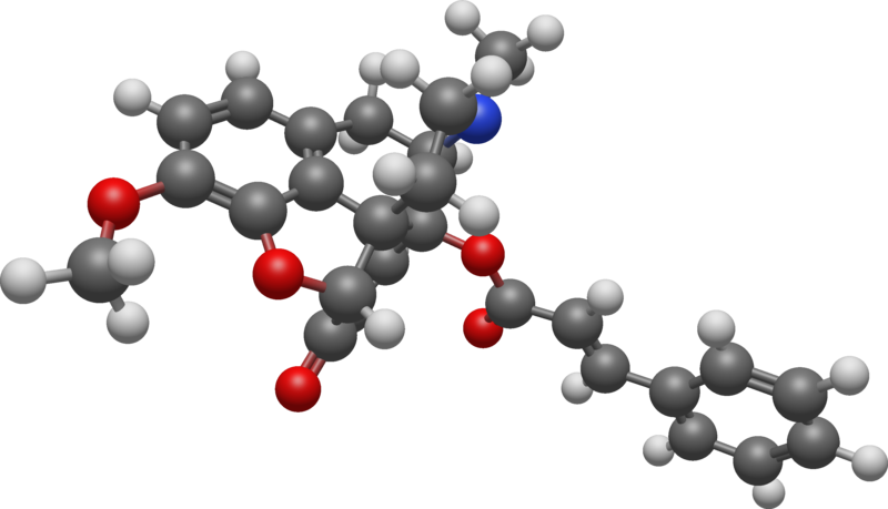 File:1,4-cinnamoyloxycodeinone 3D BS.png